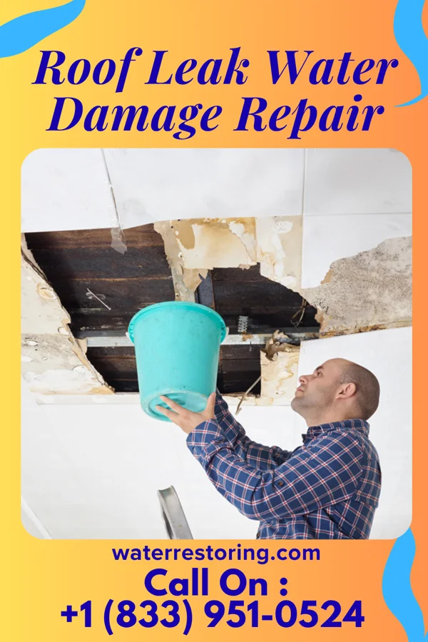 Roof Leak Water Damage Repair in Bloomingdale, FL